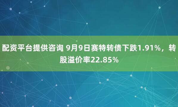 配资平台提供咨询 9月9日赛特转债下跌1.91%,转股溢价率22.85%