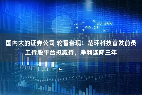 国内大的证券公司 轮番套现！楚环科技首发前员工持股平台拟减持，净利连降三年