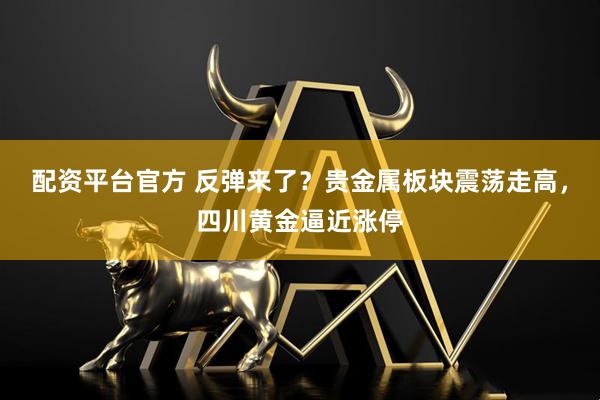 配资平台官方 反弹来了？贵金属板块震荡走高，四川黄金逼近涨停